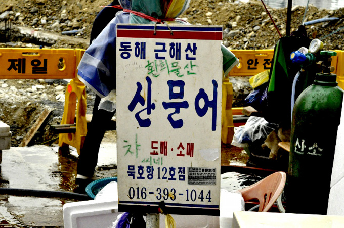 q05.jpg